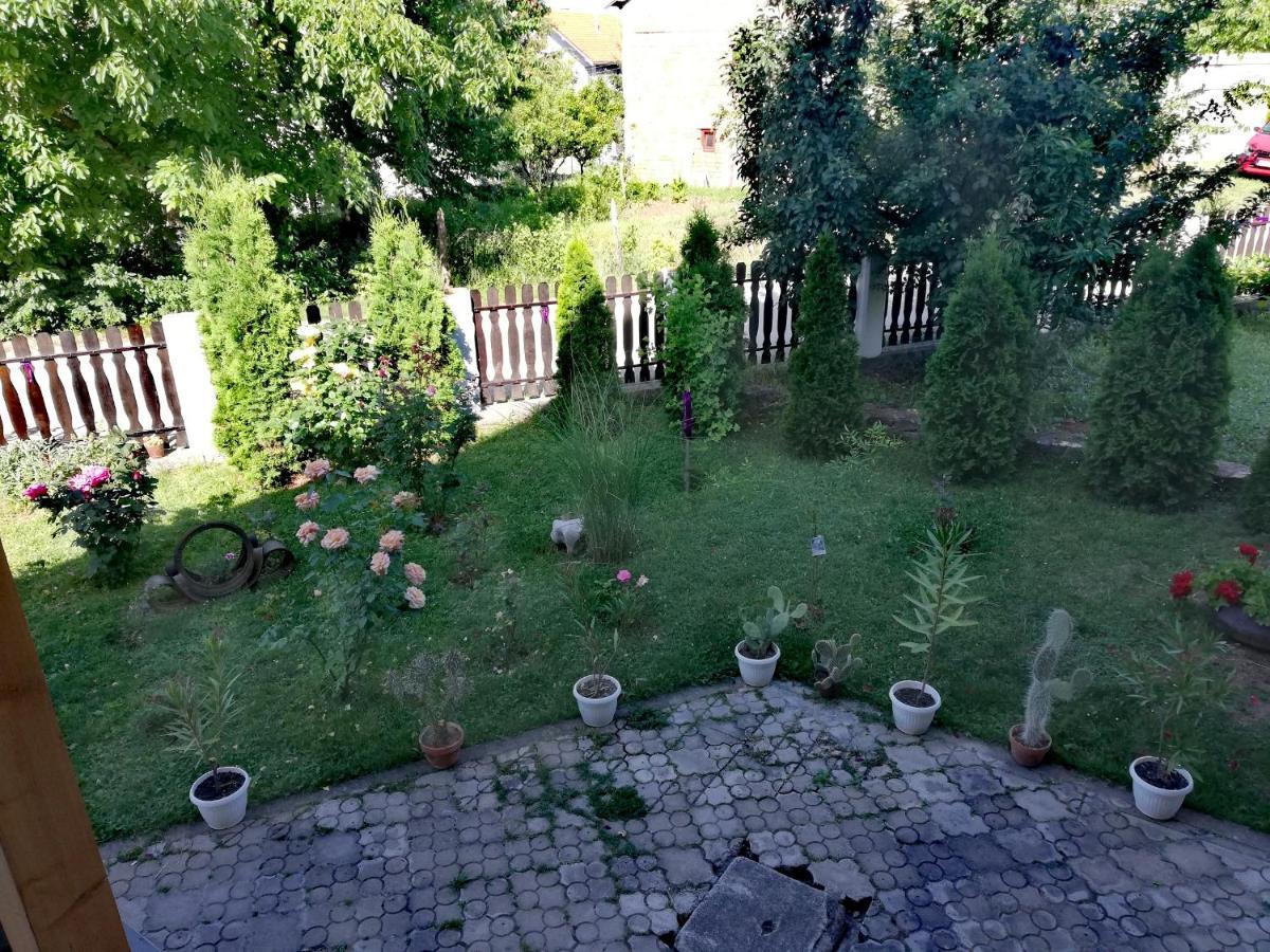 Apartmani Tvins Soko Banja Ngoại thất bức ảnh